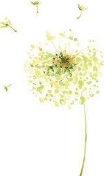 https://mmbiz.qpic.cn/mmbiz_png/kvuszKiamib2ltH0UiagrIibXOEwmECDe4LwpFDX4RAdhkGJ6dNZH8ZcEGVSiaa8eH93ibBtfF0DRq5zeRR0AvanYjiag/640?wx_fmt=png?x-oss-process=style/xmwebp